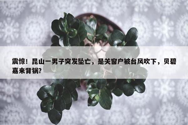 震惊！昆山一男子突发坠亡，是关窗户被台风吹下，贝碧嘉来背锅？