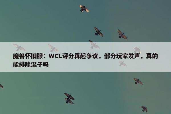 魔兽怀旧服：WCL评分再起争议，部分玩家发声，真的能排除混子吗