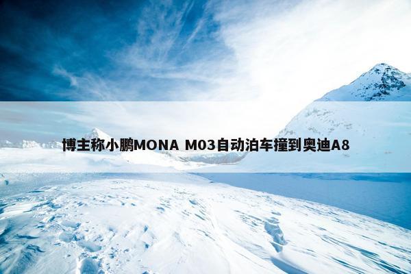 博主称小鹏MONA M03自动泊车撞到奥迪A8