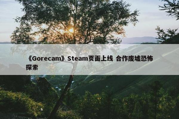 《Gorecam》Steam页面上线 合作废墟恐怖探索