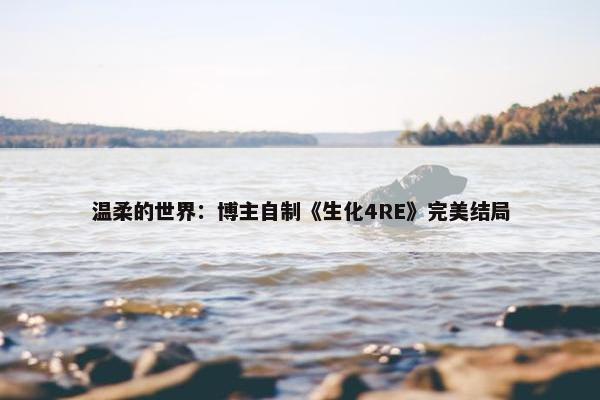 温柔的世界：博主自制《生化4RE》完美结局