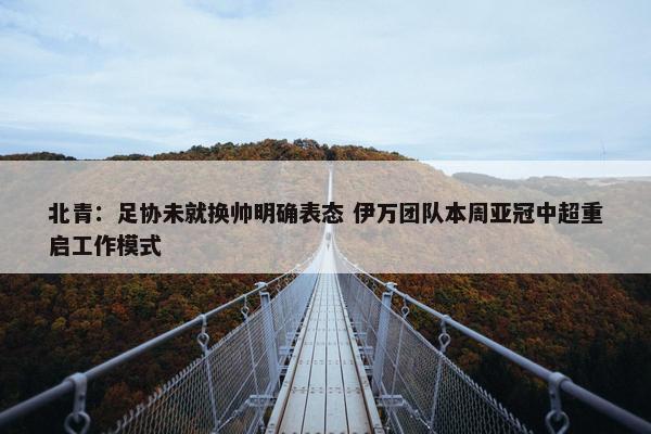 北青：足协未就换帅明确表态 伊万团队本周亚冠中超重启工作模式