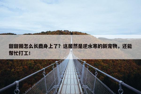 甜甜圈怎么长鹿身上了？这居然是逆水寒的新宠物，还能帮忙打工！