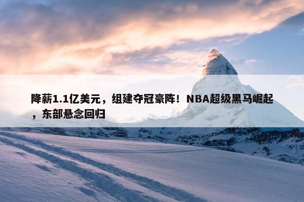 降薪1.1亿美元，组建夺冠豪阵！NBA超级黑马崛起，东部悬念回归