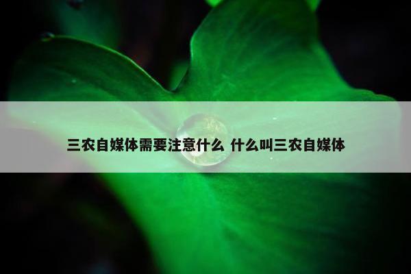 三农自媒体需要注意什么 什么叫三农自媒体