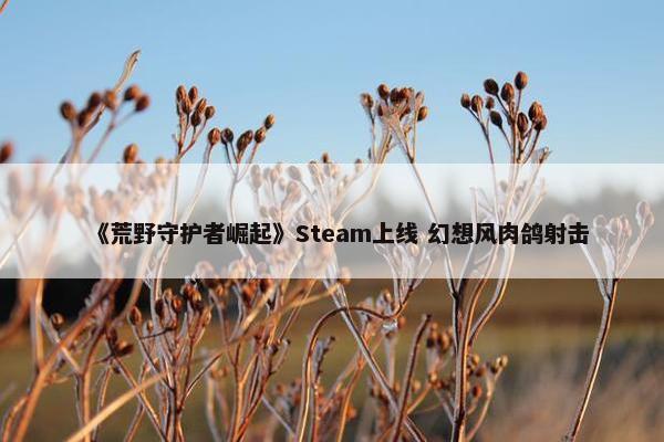 《荒野守护者崛起》Steam上线 幻想风肉鸽射击