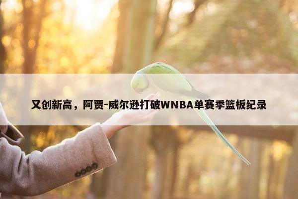 又创新高，阿贾-威尔逊打破WNBA单赛季篮板纪录