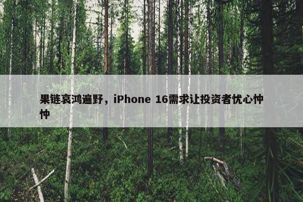 果链哀鸿遍野，iPhone 16需求让投资者忧心忡忡