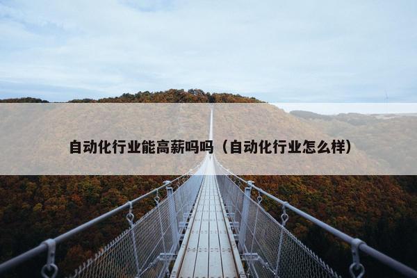 自动化行业能高薪吗吗（自动化行业怎么样）