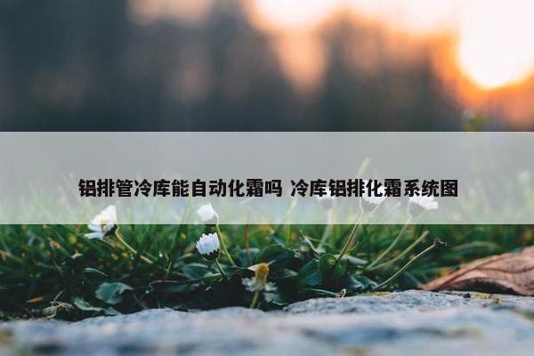 铝排管冷库能自动化霜吗 冷库铝排化霜系统图