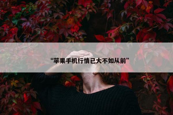 “苹果手机行情已大不如从前”