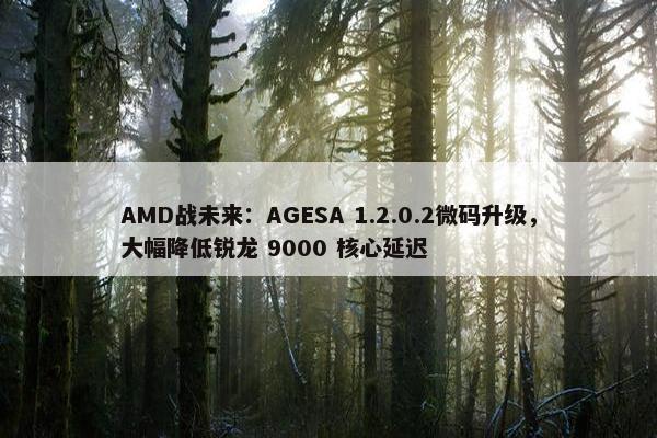 AMD战未来：AGESA 1.2.0.2微码升级，大幅降低锐龙 9000 核心延迟