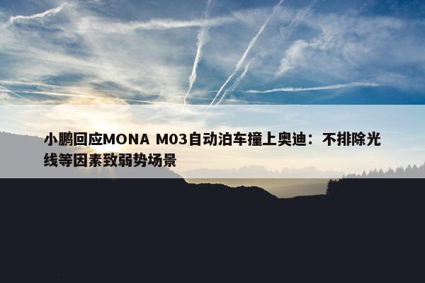 小鹏回应MONA M03自动泊车撞上奥迪：不排除光线等因素致弱势场景