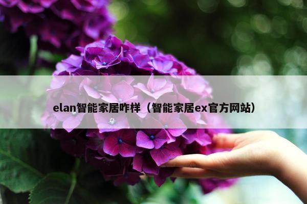 elan智能家居咋样（智能家居ex官方网站）