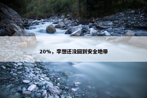 20%，李想还没回到安全地带