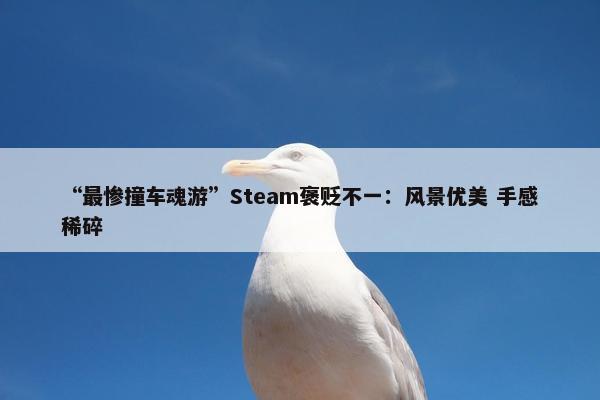 “最惨撞车魂游”Steam褒贬不一：风景优美 手感稀碎