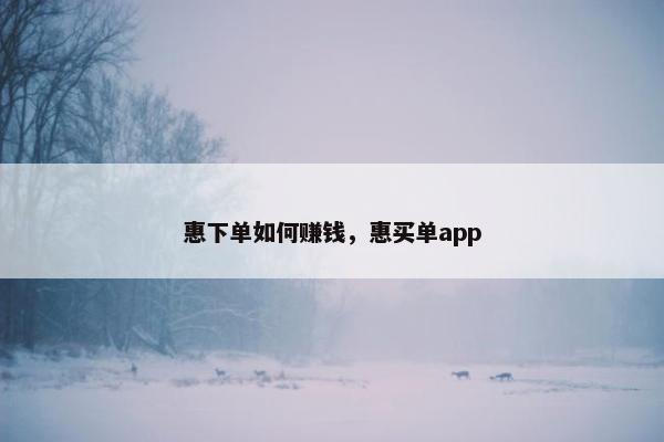 惠下单如何赚钱，惠买单app