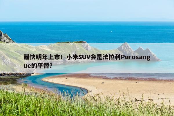 最快明年上市！小米SUV会是法拉利Purosangue的平替？