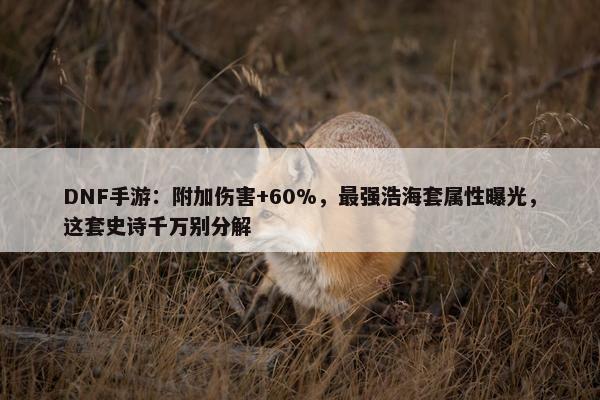 DNF手游：附加伤害+60%，最强浩海套属性曝光，这套史诗千万别分解