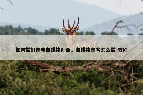 如何做好淘宝自媒体创业，自媒体淘客怎么做 教程