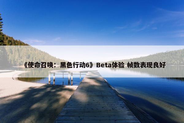 《使命召唤：黑色行动6》Beta体验 帧数表现良好