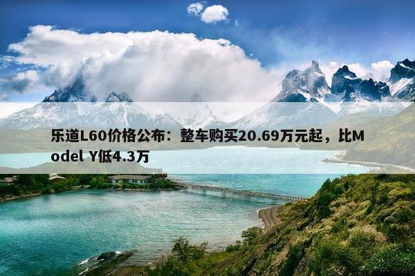 乐道L60价格公布：整车购买20.69万元起，比Model Y低4.3万