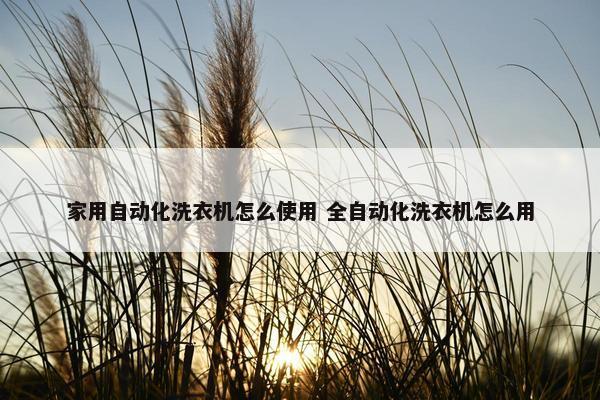 家用自动化洗衣机怎么使用 全自动化洗衣机怎么用