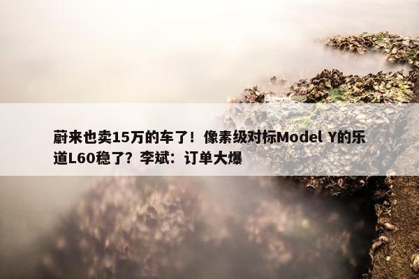 蔚来也卖15万的车了！像素级对标Model Y的乐道L60稳了？李斌：订单大爆