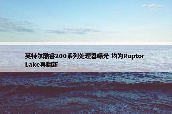 英特尔酷睿200系列处理器曝光 均为Raptor Lake再翻新