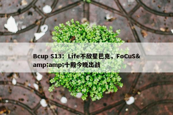 Bcup S13：Life不敌星巴克，FoCuS&amp;十殿今晚出战