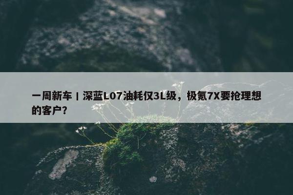 一周新车丨深蓝L07油耗仅3L级，极氪7X要抢理想的客户？