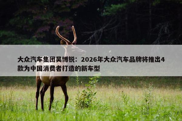 大众汽车集团吴博锐：2026年大众汽车品牌将推出4款为中国消费者打造的新车型