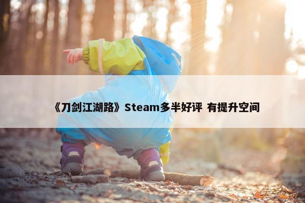 《刀剑江湖路》Steam多半好评 有提升空间