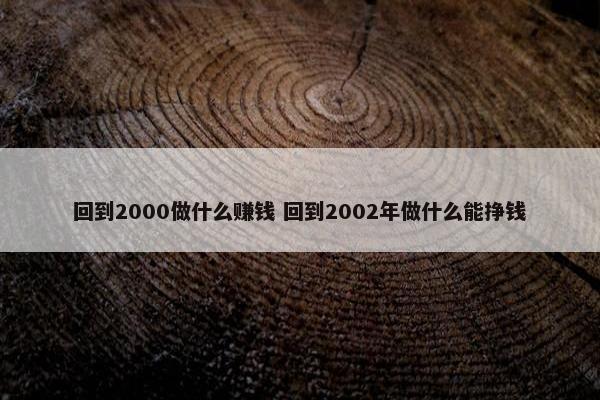 回到2000做什么赚钱 回到2002年做什么能挣钱