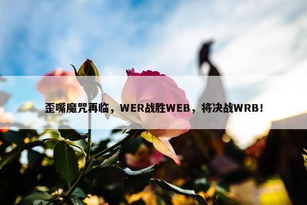 歪嘴魔咒再临，WER战胜WEB，将决战WRB！