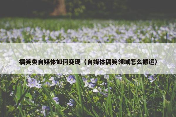 搞笑类自媒体如何变现（自媒体搞笑领域怎么搬运）