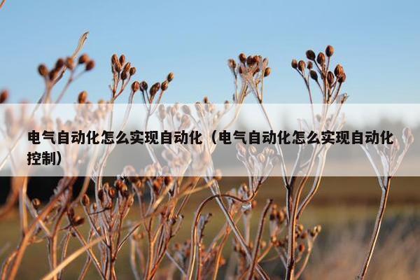 电气自动化怎么实现自动化（电气自动化怎么实现自动化控制）