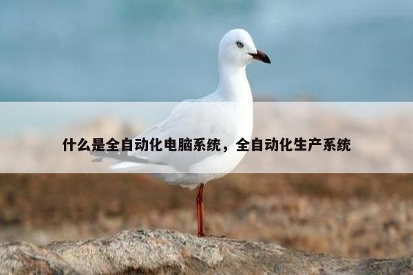 什么是全自动化电脑系统，全自动化生产系统