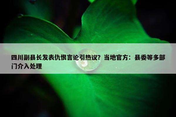 四川副县长发表仇恨言论引热议？当地官方：县委等多部门介入处理