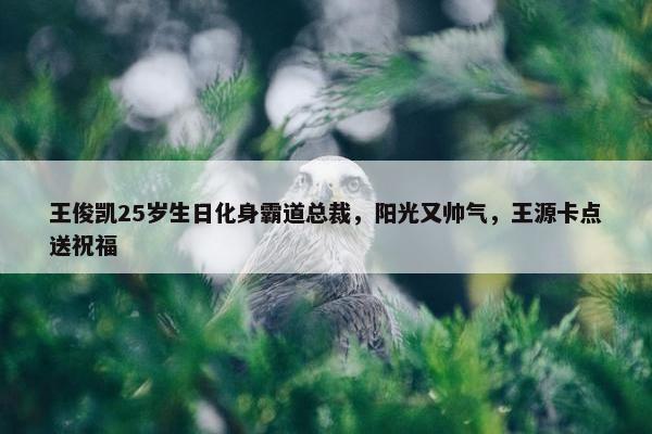 王俊凯25岁生日化身霸道总裁，阳光又帅气，王源卡点送祝福