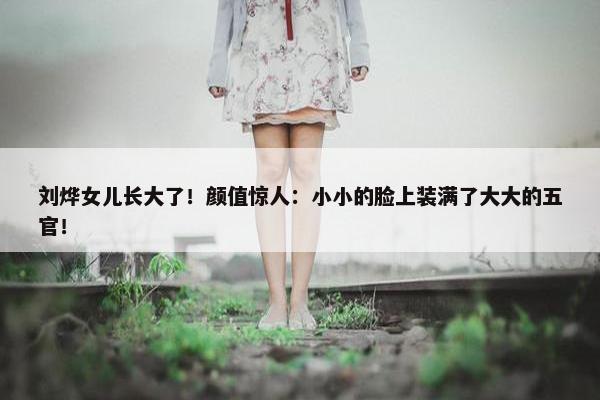 刘烨女儿长大了！颜值惊人：小小的脸上装满了大大的五官！