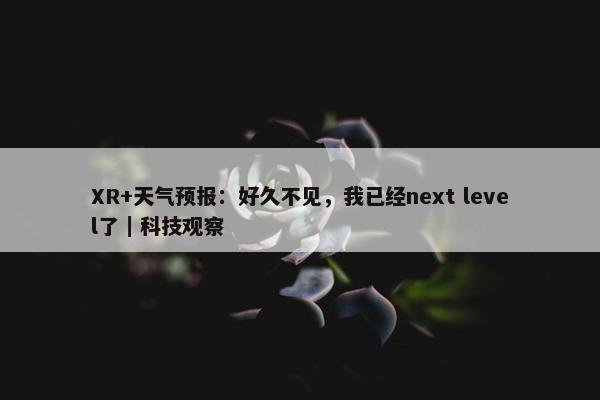 XR+天气预报：好久不见，我已经next level了｜科技观察