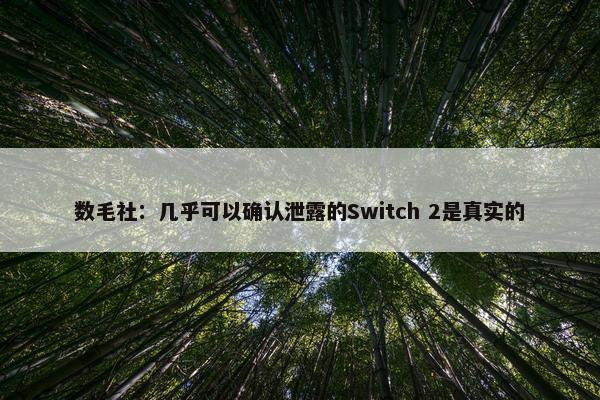 数毛社：几乎可以确认泄露的Switch 2是真实的