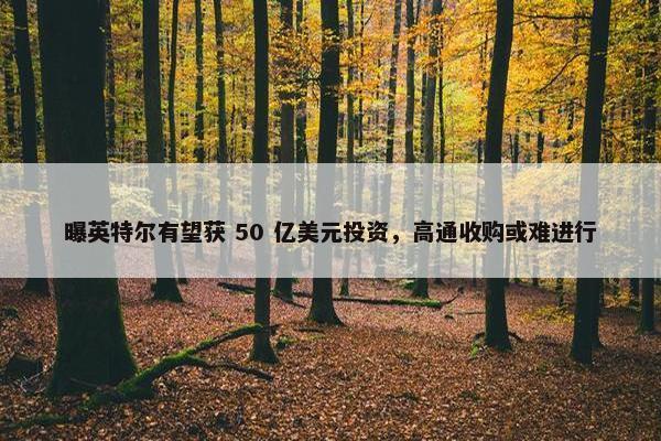 曝英特尔有望获 50 亿美元投资，高通收购或难进行