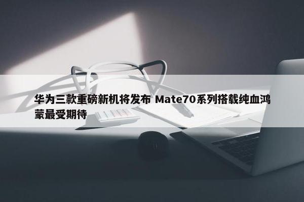 华为三款重磅新机将发布 Mate70系列搭载纯血鸿蒙最受期待