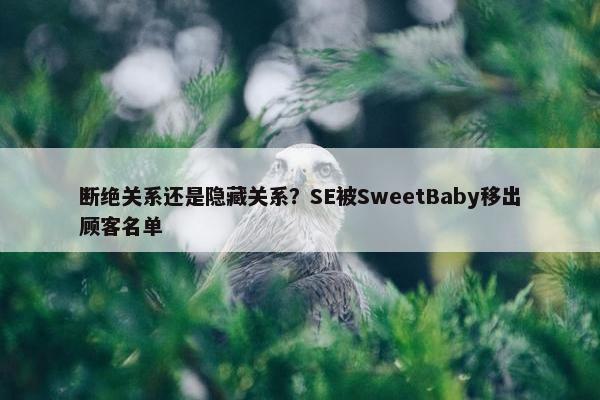 断绝关系还是隐藏关系？SE被SweetBaby移出顾客名单