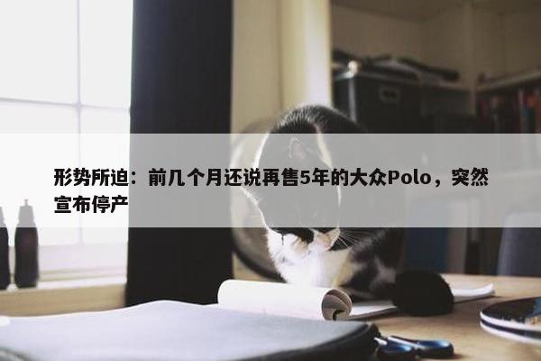 形势所迫：前几个月还说再售5年的大众Polo，突然宣布停产