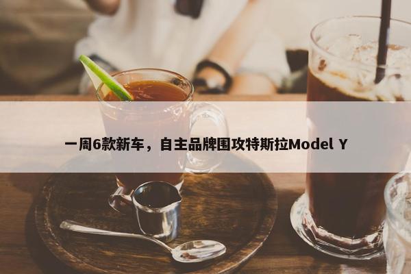 一周6款新车，自主品牌围攻特斯拉Model Y