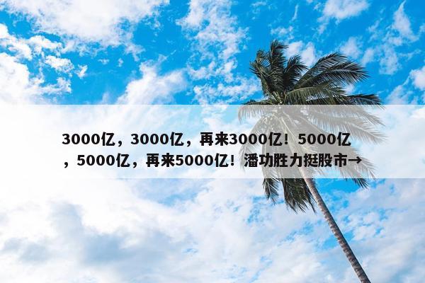 3000亿，3000亿，再来3000亿！5000亿，5000亿，再来5000亿！潘功胜力挺股市→