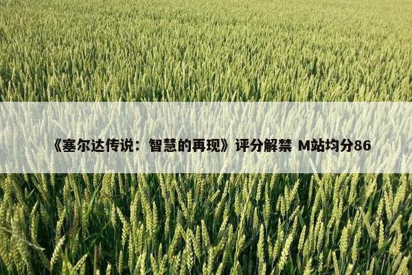 《塞尔达传说：智慧的再现》评分解禁 M站均分86